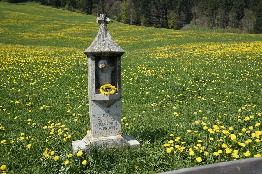 _DSC4571.JPG _DSC4571.JPG