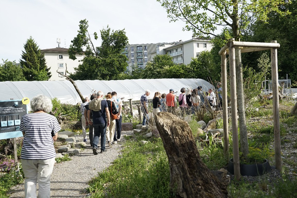 Bild