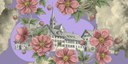 Die Fülle des Lebens