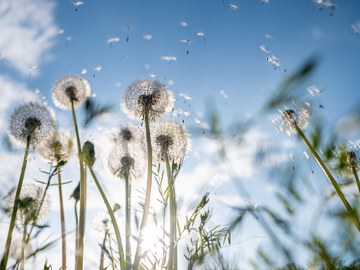 endlich.menschlich – Aktionswoche Sterben und Tod