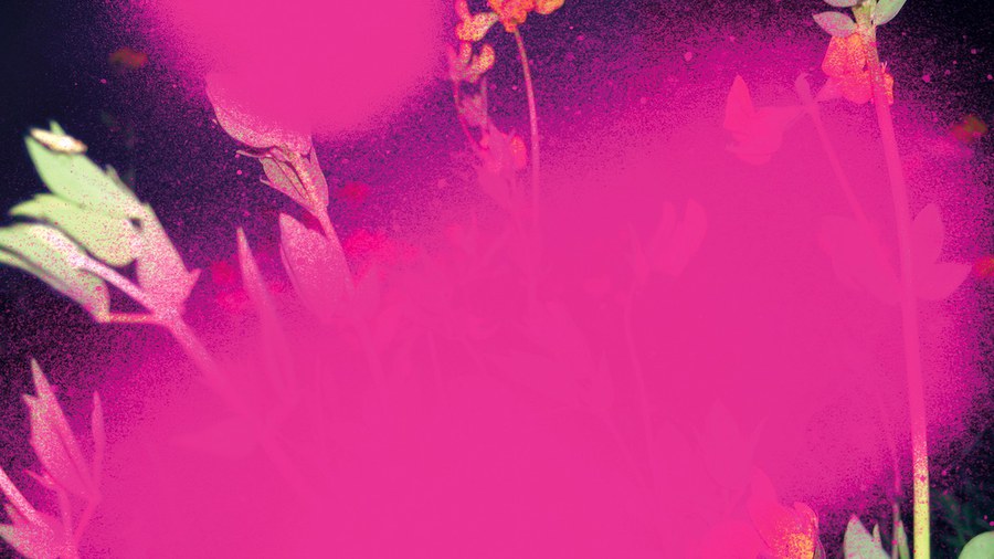 Foto: Miriam Bossard, Gen Atem f11_2025_p01_titel_miriam_bossard_bl_4Uy6Jbs-5e8f30ff7205.jpeg