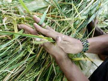 Gelebte Solidarität mit Kenia