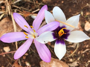 Nähe und Berührung auch online