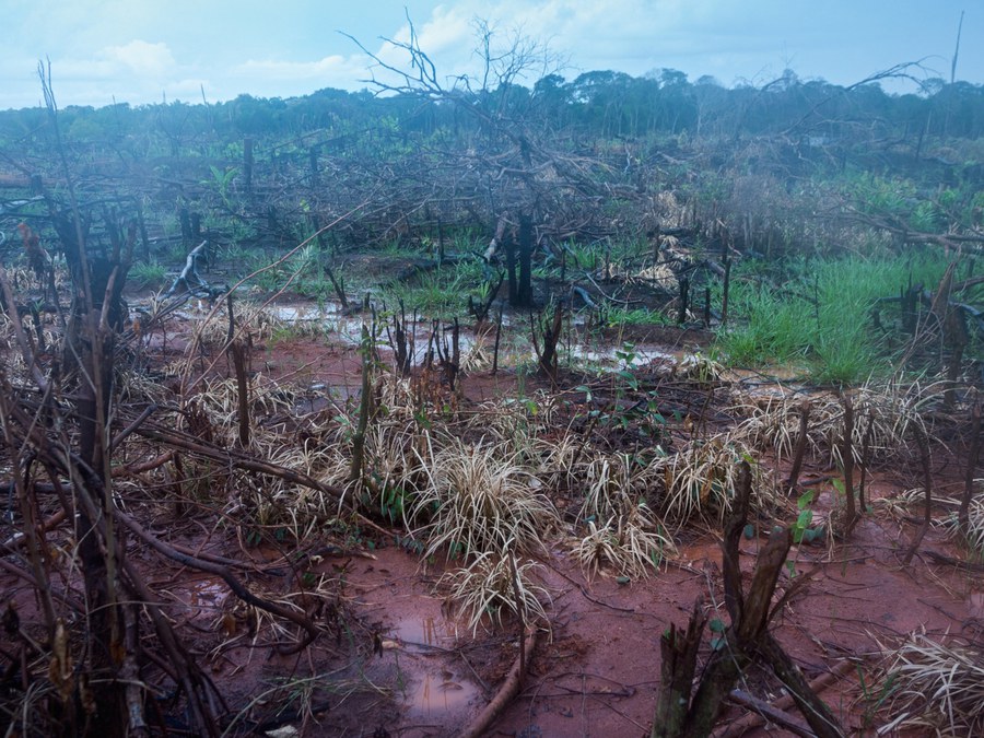 Waldbrand Amazonas copyright:Adveniat.de