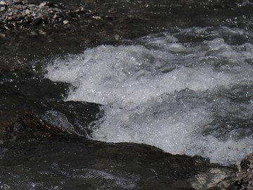 Damit lebendiges Wasser auch in Zukunft fliesst