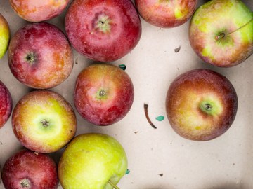 Kirchen sind nachhaltig unterwegs