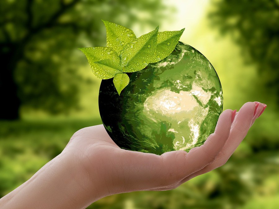 Nachhaltigkeit FOTO PIXABAY 3289812 