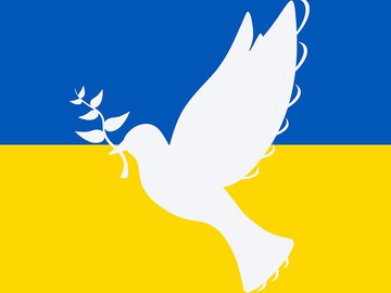 «Wo liegt die Grenze zwischen Gewaltlosigkeit und Feigheit? »