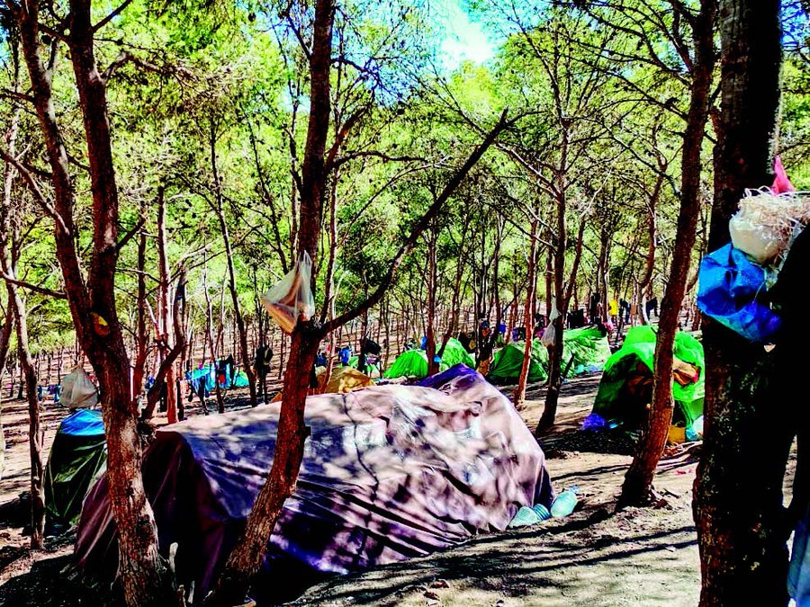 Migranten-Zeltstadt im Wald