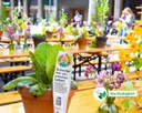 Leckere Mahlzeiten aus geretteten Lebensmitteln