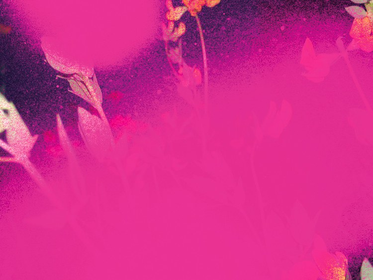 Mystik: Im Diesseitigen das Jenseitige erfahren