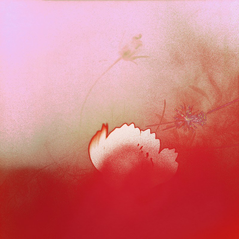 Foto: Miriam Bossard, Gen Atem f11_2025_p08_miriam_bossard_bl-e8a2c0fdef7e.jpeg