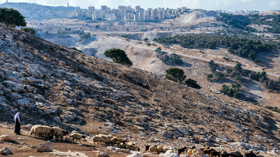 f10_2025_web1_jabal_al_baba_1_jonasOpperskalski_vej_7gOmDsy-65db1cfdb547.jpeg
