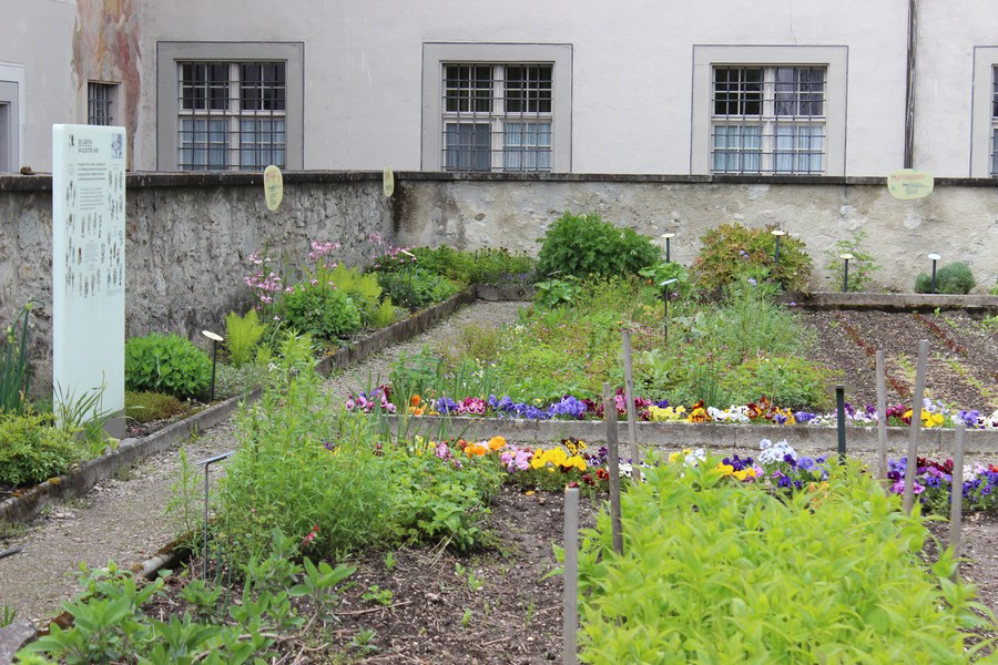 Im Kloster Fahr bei Zürich erblüht seit Frühling 2021 der erste Laudato-si-Garten der Schweiz.