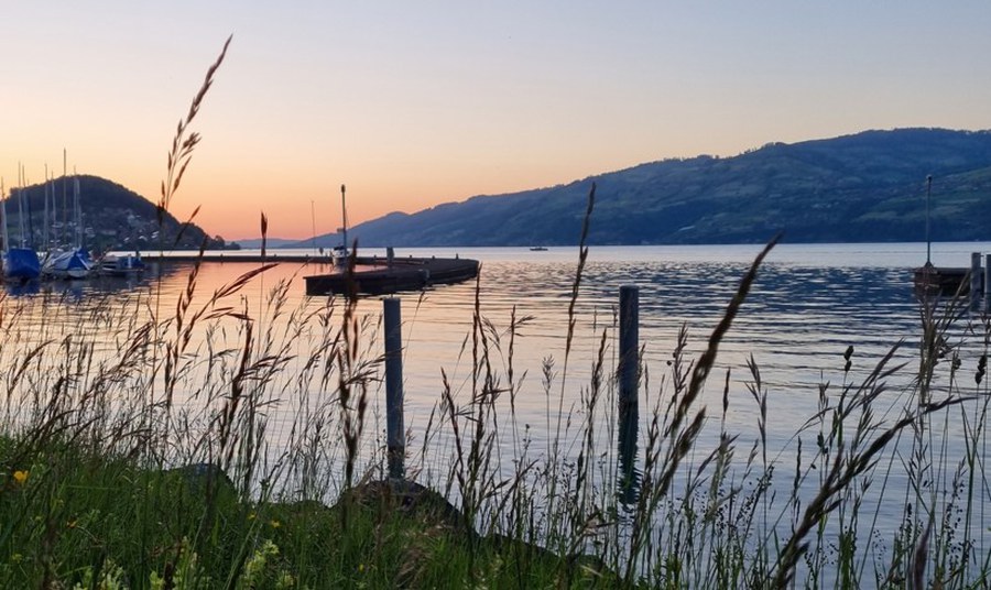 Die Natur lässt mich staunen und demütig werden (Ursula Schaufelberger-Brem) Copyright: Fachstelle Religionspädagogik ZH
