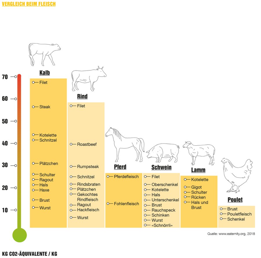 CO2 und Fleisch.jpg