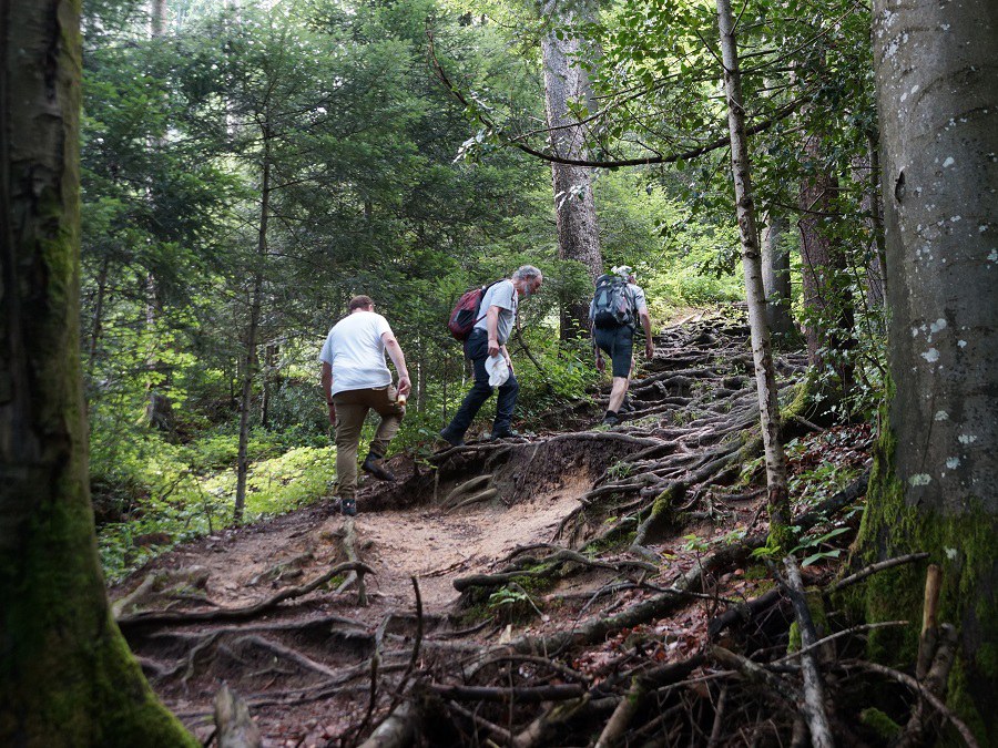 Am Etzel über Stock und Stein_Foto_Stefan Koller