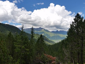 Ich lasse euch nicht im Regen stehen