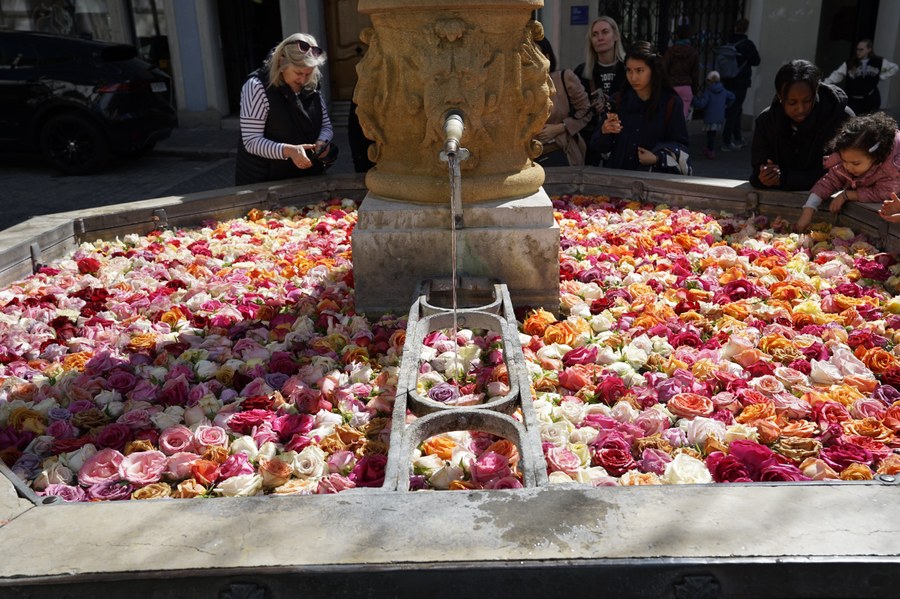 Vorbei an den Rosen im Brunnen