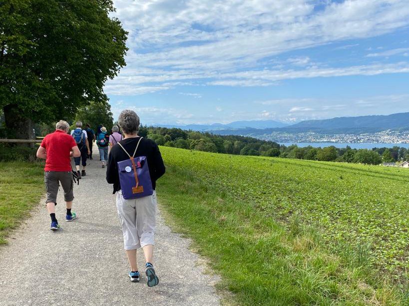 Seelsorgende, pilgernd unterwegs von Zürich nach Chur