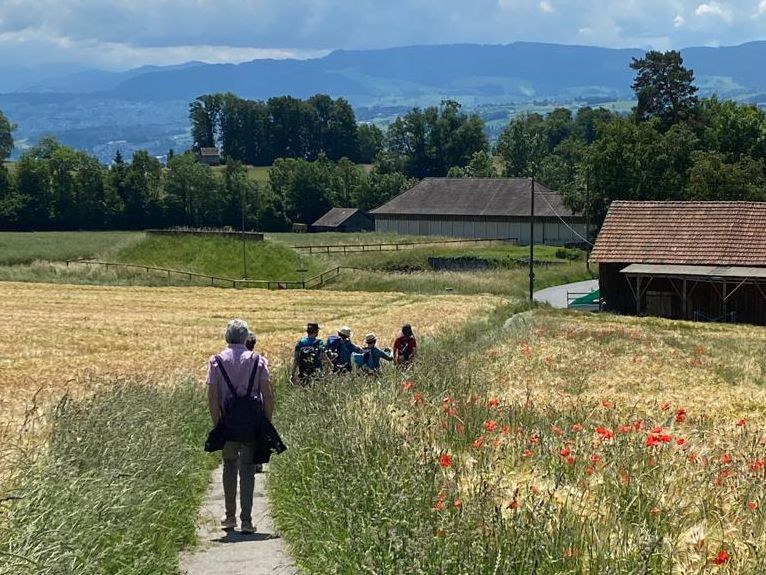 Biodiversität am Wegrand