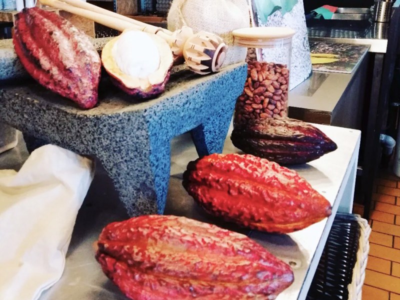 Kakaofrüchte, welche die Kakaobohnen zur Schokoladengewinnung enthalten. Bild: zVg