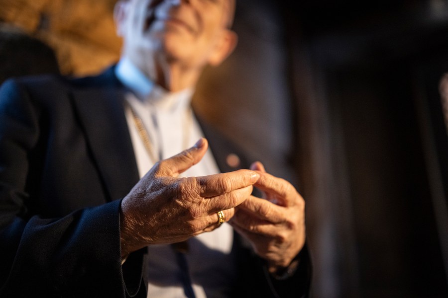 HiRes Bischof Bonnemain by lindapollari 2025 0190_web.jpg