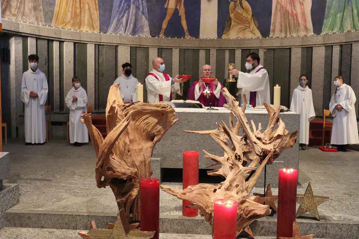 Bild