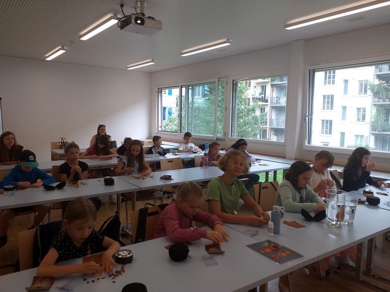 Bild