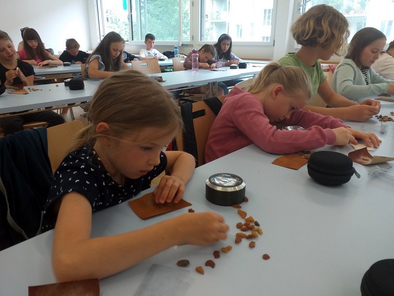 Bild