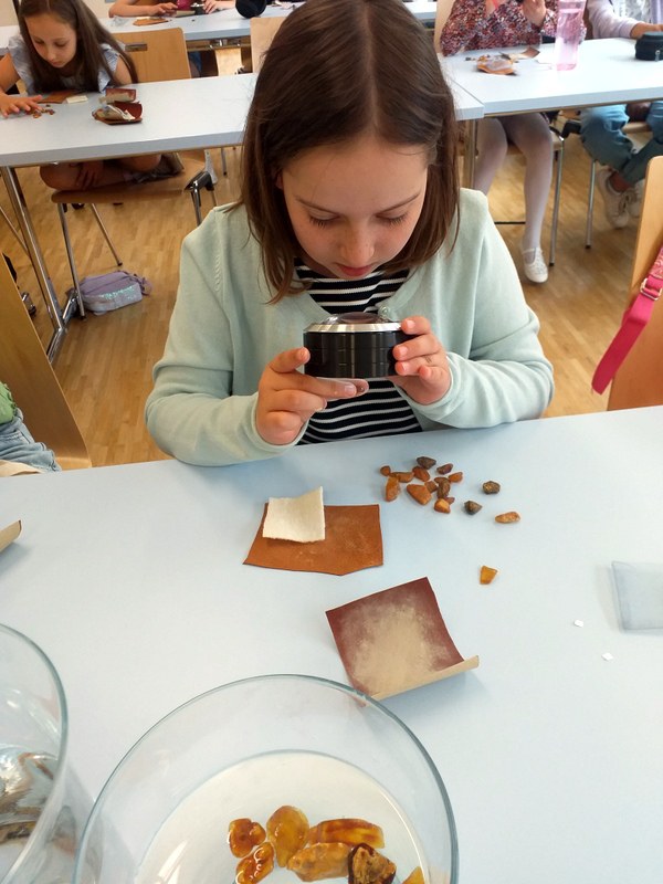 Bild