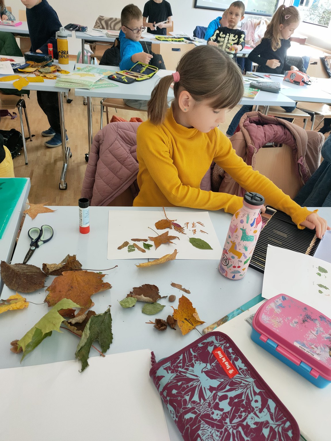 Bild