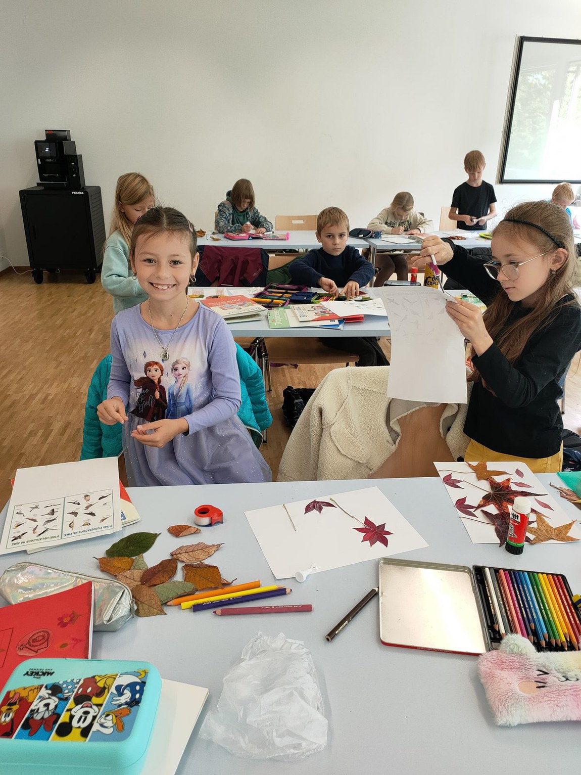 Bild