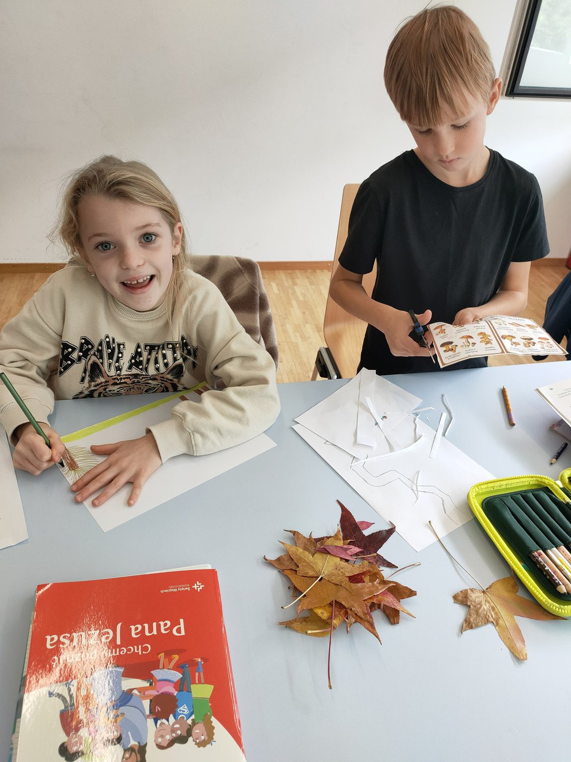 Bild