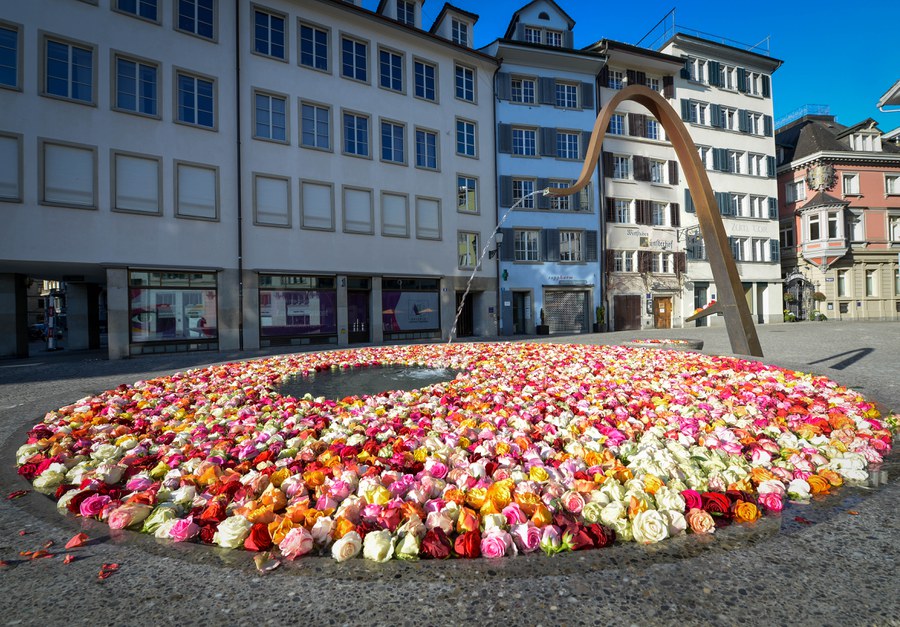 Ohne_Dornen_keine_Rosen_-_Brunnen_7.jpg