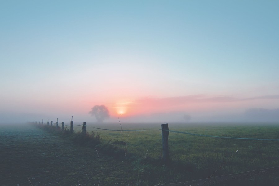fog-dawn-landscape-morgenstimmung-163323.jpeg