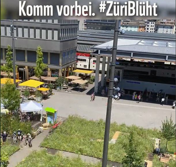 ZüriBlüht.JPG