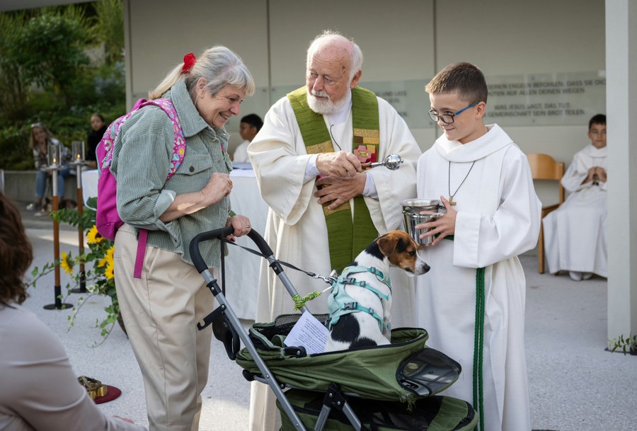 Tiersegnung.jpg