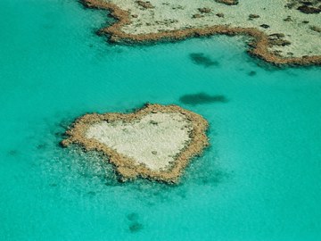 Die Krux mit dem Abschiednehmen