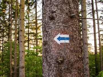 Weg-Weiser